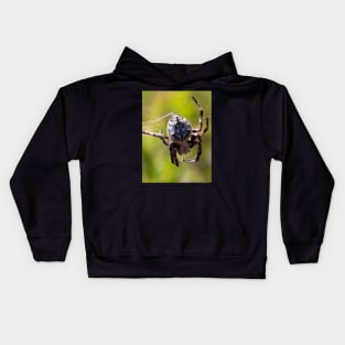 The Orb Weaver Spider hanging out in the Bush! Kids Hoodie